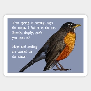 Robin Get Well Soon Message, Harbinger of Spring (Light Blue Background) Sticker